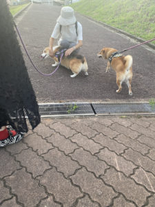 散歩🐕