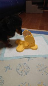 新食器