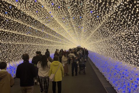 初！なばなの里