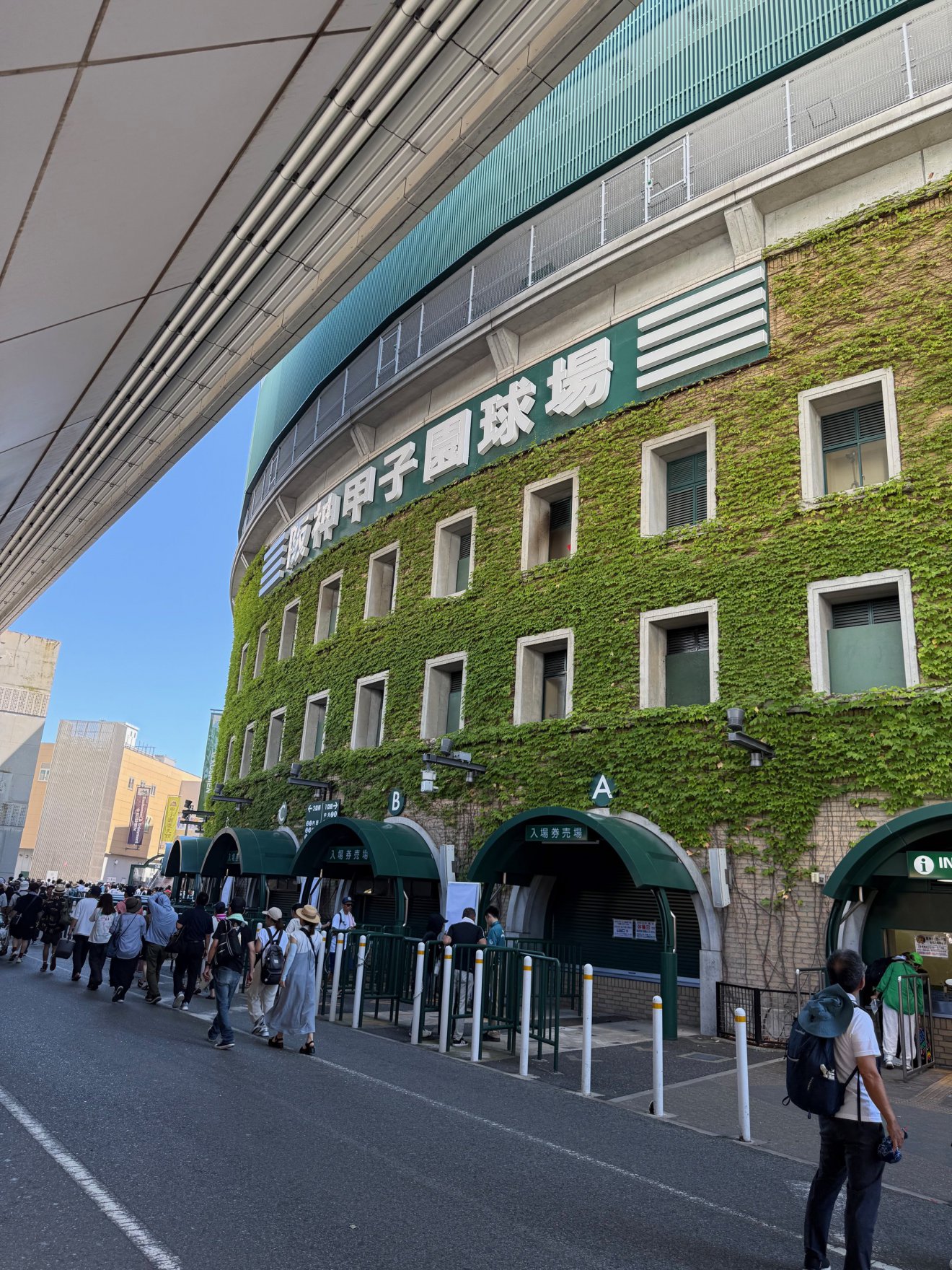 今年の夏の思い出