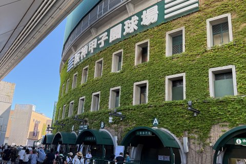 今年の夏の思い出