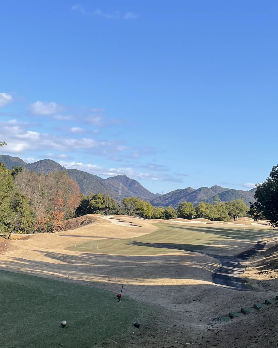 デビューしました⛳