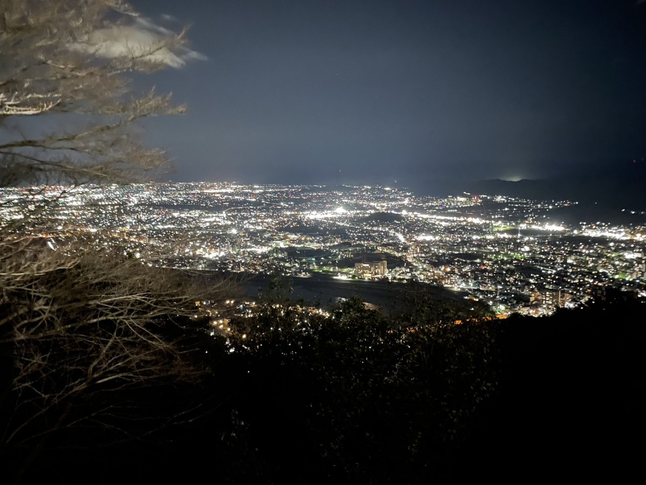 金華山　夜景