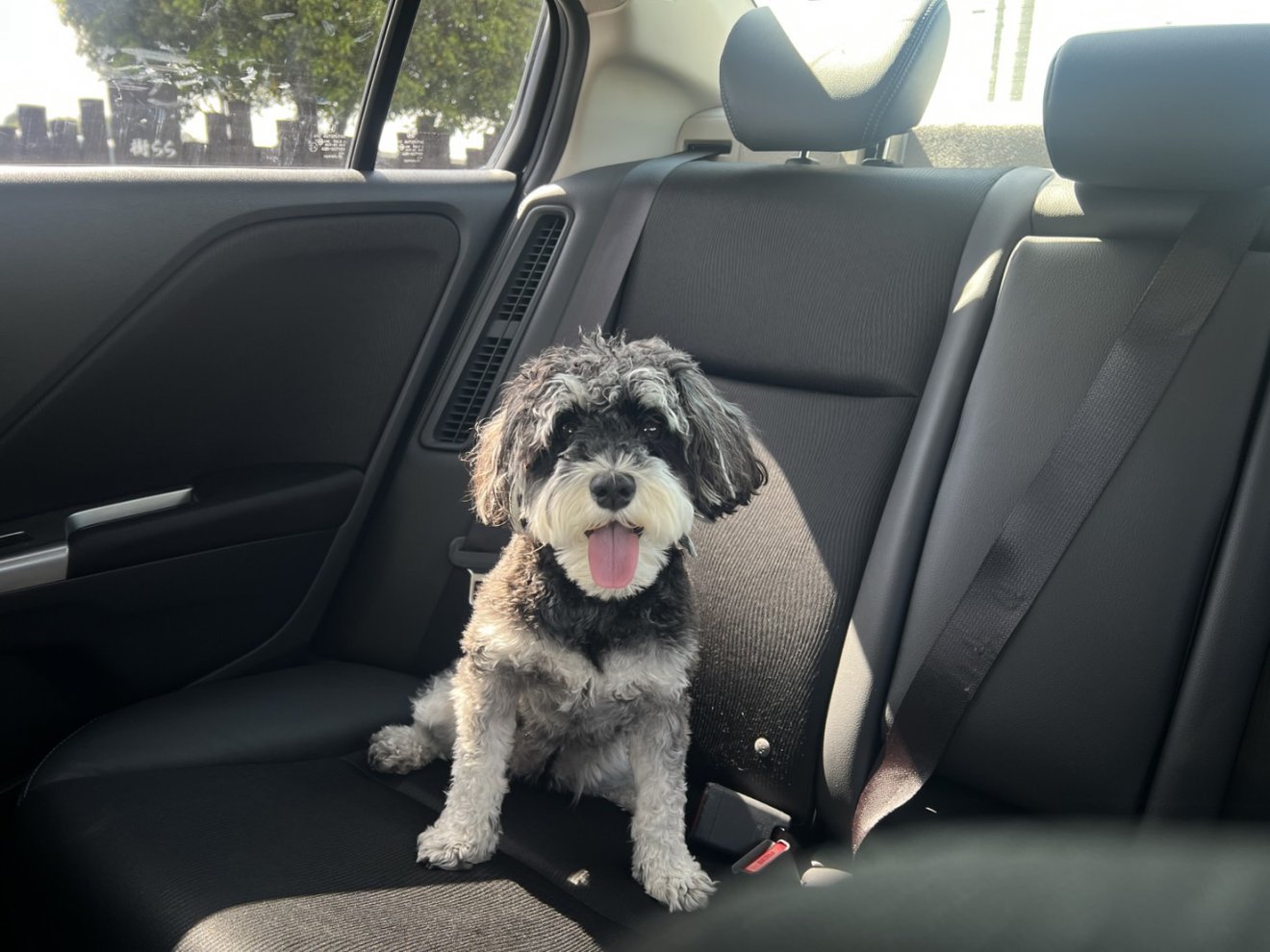 休日のリフレッシュ｜ニコと「学びの森」へ