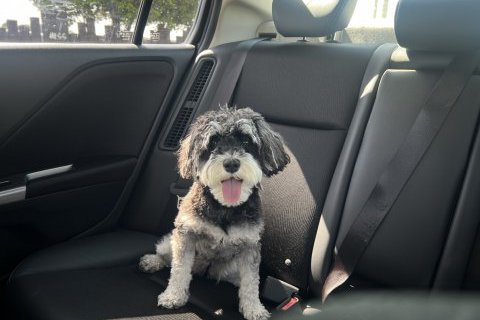 休日のリフレッシュ｜ニコと「学びの森」へ