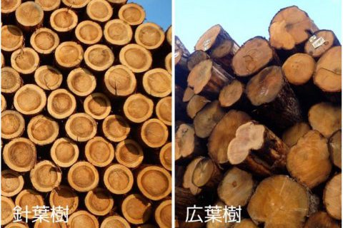 床の違い