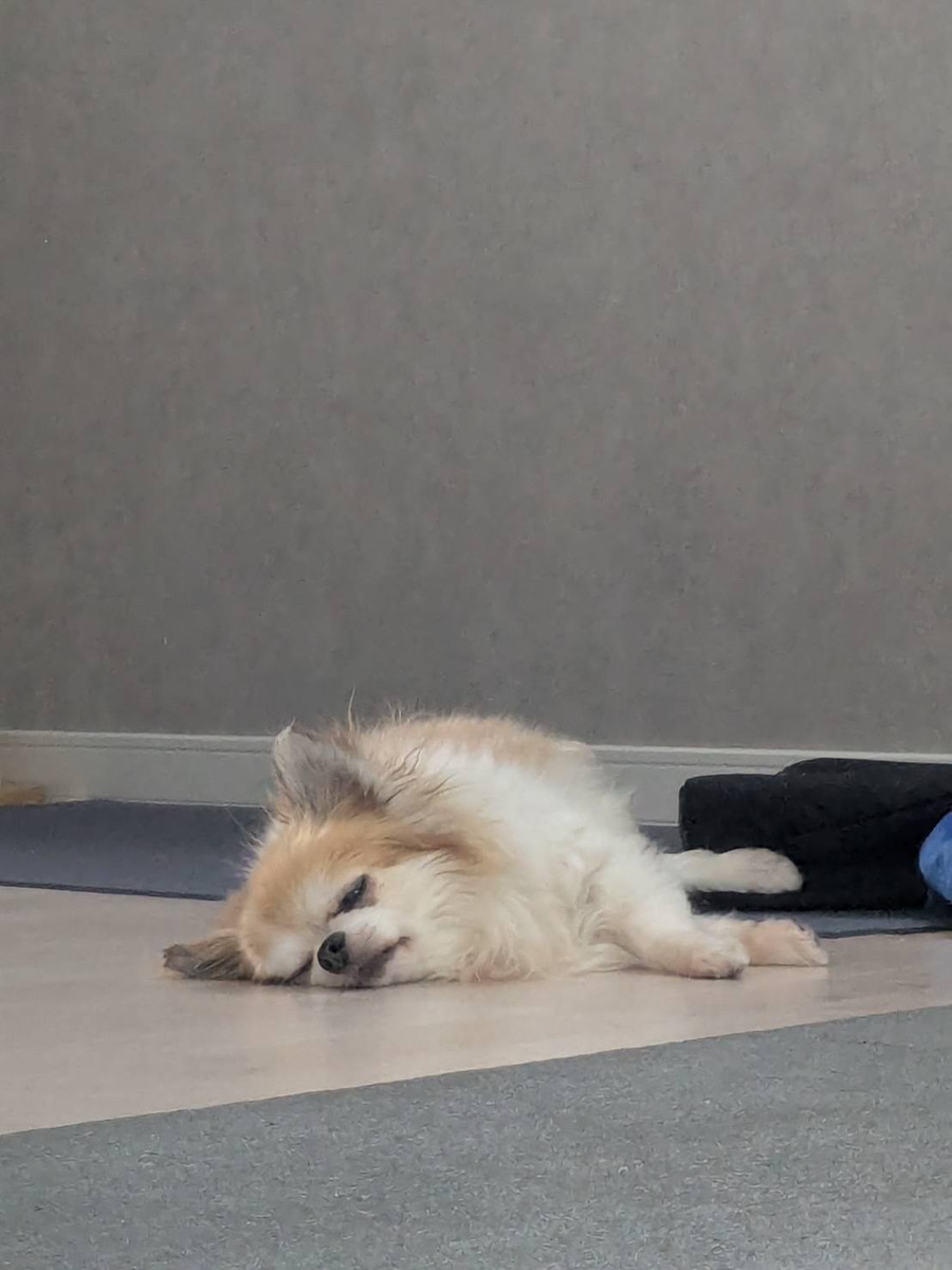 酷暑日