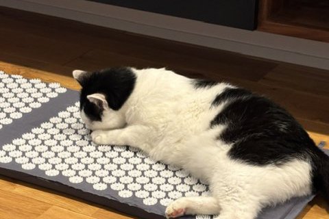 冷え性対策