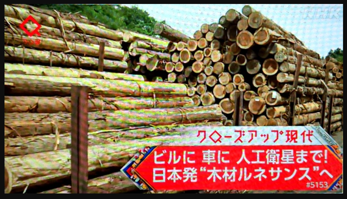 『 木材ルネサンス 』