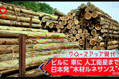 『 木材ルネサンス 』