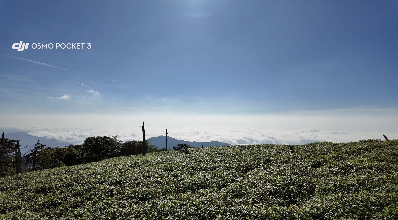 大自然を満喫！大台ヶ原山へ行ってきました！