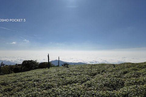 大自然を満喫！大台ヶ原山へ行ってきました！