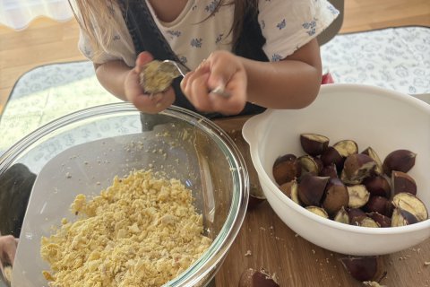 【娘と栗拾いに行ってきました🌰】