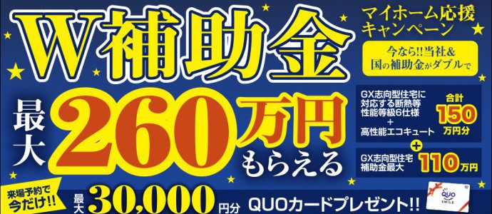 W補助金キャンペーン